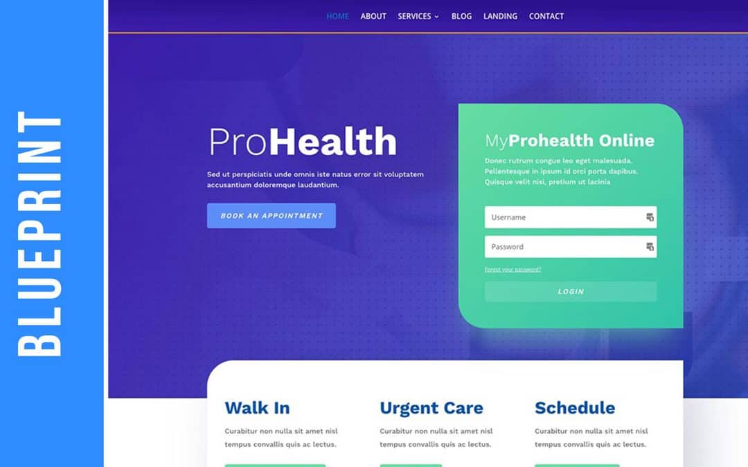 Pro Health Blueprint for Health Practitioners